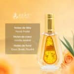 Notes Perfumes Bakhour Mixte by Ayat Perfumes